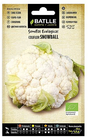 Cavolfiore Snowball - ECO