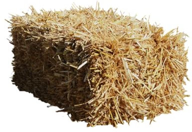 Weizenstroh der Heu Scheune® I 15kg Ballen I Einstreu für Kaninchen, Meerschweinchen, Nager, Pferde und Co.