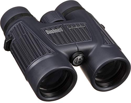Bushnell H2O Waterproof/Fogproof Roof Prism Binocular, 8 x 42-mm, Black, Model Number: 158042