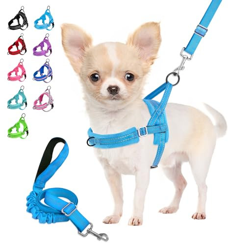 Eyein Hundegeschirr mit Leine für mittelgroße Kleine Hunde, Weich gepolsterter No-Pull Brustgeschirr mit 2 Leinenclips, Leichtgewicht Reflektierend Geschirr Hals und Brust verstellbar (Hellblau, XXS)
