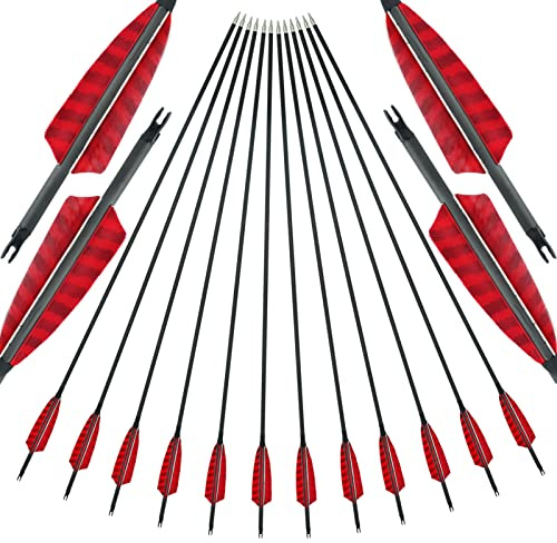 30/31Pollici Freccia In Carbonio Spine 400 500 600 Concorrenza Pratica Freccia Con Piume Di Tacchino Naturali Per Arco Tradizionale Ricurvo Lungo E Arco Compound La Caccia 12Pcs (30 Pollici,Spine 600)