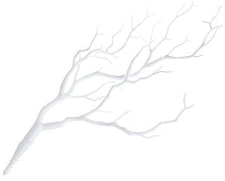 Xuniu Piante Artificiali Albero Secco Rami di Corallo Pavone di plastica Decorazione di Cerimonia Nuziale Bianco 36cm