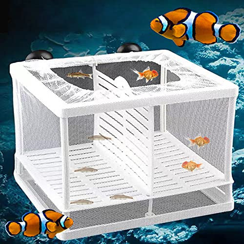 Aquarium Fish Breeding Box, Small Fry Hatchery Net Fish Nursery Isolation Box Multi-functional Breeder Incubator Tank Divider with 6 Suckers for Tropical Fishs Guppy Floating Fishs, 16*14.5*15.5cm