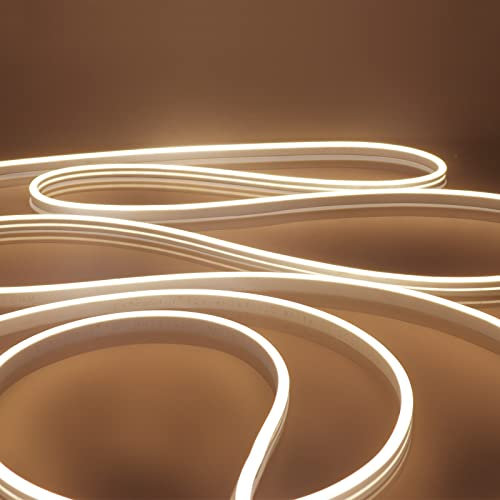 EXTRASTAR Tira de Luz LED de Neón, Luz Cálida, 12V, Cable 5M, 120 LED, Impermeable IP65, 8.5W/M, No Regulable, Tira de LED para Jardín, Exterior, Festival, Fiesta, Adaptador no incluido