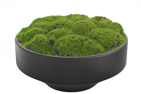 NAHARO New Moss Bowl, Handmade Ceramic. 11 Artificial Moss Bowl Centerpiece for Home Decoration, Living Room, Office