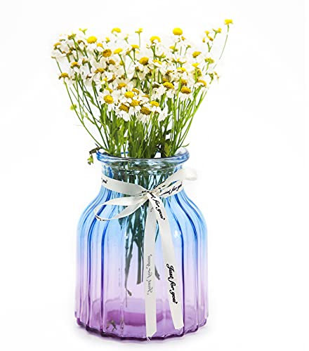 OFFIDIX Vase en verre dégradé multicolore pour la maison, le bureau, le salon - Vase à fleurs en verre (bleu/violet)