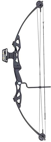 Southland Archery Supply Siege 55 lb 29'' Compound Bow Target (Black)