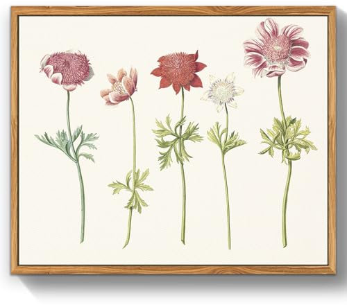 MHARTK66 Quadri Vintage Botanico Soggiorno con Cornice Legno, 30x40 cm Stampe da Parete Anemoni Windflowers Fiori Illustrazione, Quadro Camera da Letto Su Tela Decorazioni Parete Desktop Arte Bagno