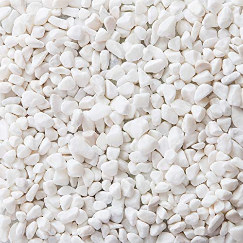 LIHAO Gravier pour Jardin, Pierres Décoratives Cailloux pour Jardinière Plantations - Blanc, 460g