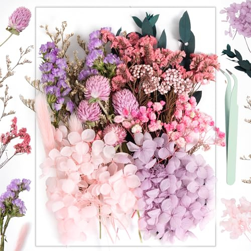 Torkade blommor, Resiners pressade blommor för harts, tvål, ljus, klippbokning och kort - set med torkade naturliga blommor och blad för gör-det-själv, hantverk och smyckesdekorationer (P.Rosa)
