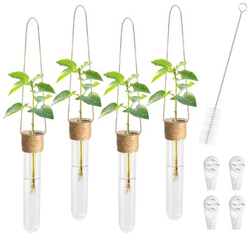 prota Vase Tube à Essai Terrarium Plante Hydroponie Vase, Station de Propagation pour Plantes, Vase Mural Tube a Essai Verre pour Propagation Plantes Hydroponiques Décoration Domicile