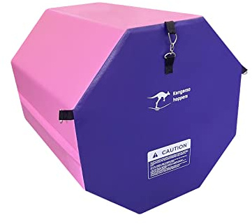 Kangaroo Hoppers Gymnastics Octagon Tumble Mat 19x23 with Carrying Handles, Somersault Backbend Tumbling Trainer for Home Gym Exercise (Purple/Pink)