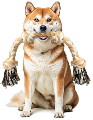 Ycozy Hundespielzeug für mittelgroße und kleine Hunde, 66 cm, 4 Knoten, Hundeseil für Aggressive Kauer, Welpen, Hundespielzeug, Fast unzerstörbar, Kauspielzeug, natürliche Baumwolle