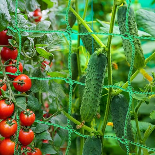 Filet Jardin 5M x 2M, Filets pour Jardin Treillis avec 50 Attache Cable, Filets pour Concombre, Support Plante Grimpante Filet Jardin pour Plante Grimpante Exterieur, Concombres, Tomates