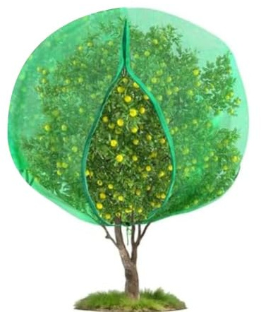 Lawnoval Bolsa de red para árboles frutales con cremallera y cordón, malla fina para jardín, arbustos de arándanos, 1,8 x 1,8 m, verde, 18 x 22 m