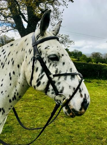 Complete Mexican Grackle Bridle & Rubber Grip Reins - Pony/Cob/Full Full / Black