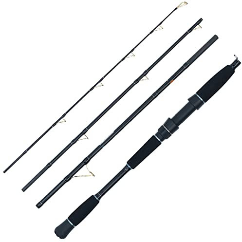 WFT Sea Dart Norway Fjord 4pcs. 2,10m 25lbs 40-300g Reise-Meeresrute