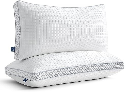 BedStory Kopfkissen 40x80 2er Set mit Verstellbarer Füllung