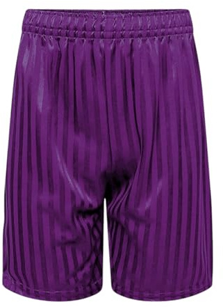 Hiffy Boys Girls PE Shorts School Games Gym Football Shadow Stripe Purple (UK, Age, 11 Years, 12 Years, Regular, Purple)