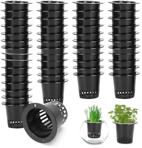 Tomotato 50 Piezas Maceta Red Cesta Hidropónico, Taza para Hidroponía Jardín Plantación Copas de Crecimiento de Plantas para Plantas Hidropónicas y Cultivo Sin Suelo(Negro)