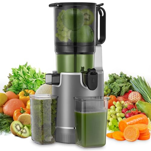 Juicer Machines, 5.4 Extra Large Feed Chute Fit Whole Fruits & Vegetables, Slow Masticating Cold Press Juicer Easy to Clean, 250W, High Juice Yield