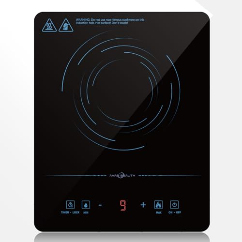 2100W Portable Induction Hob Single Induction Cooker with Safety Lock,Timer,Convenient Electric Hob for Home,Camping,One-Touch Max&Min Power,9 Temperature Settings,Touch Control,Plug in hob (Blue)
