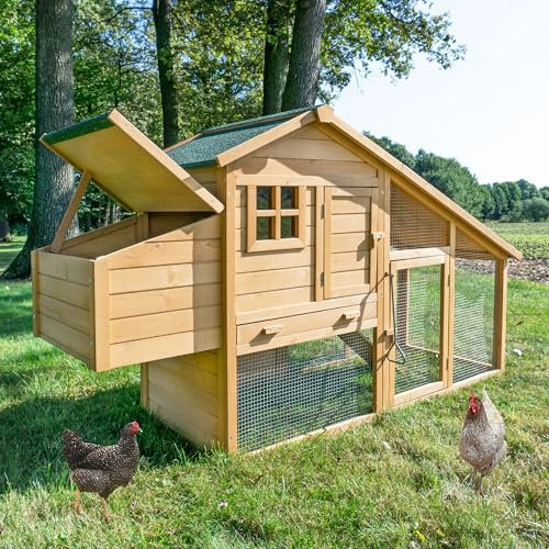 zooprinz Premium XXL Hühnerstall mit Nistkasten und Kotschublade - aus massivem Vollholz und stabilem Draht - Hühnerstall schnell zu reinigen - langlebig Dank hochwertiger Lasur und Bitumendach (XL)
