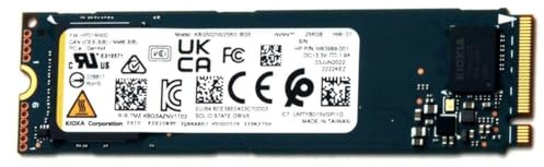 KIOXIA BG5 Client SSD 256GB M.2 2280-S2 - KBG50ZNV256G