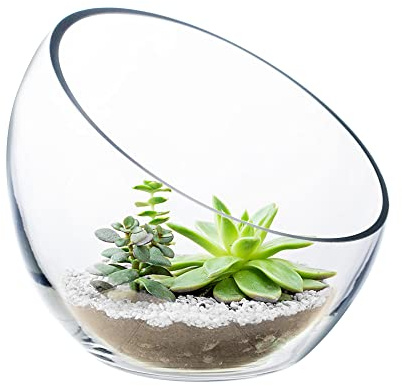 CYS EXCEL Glass Slant Cut Bubble Bowl (H-6 W-7) Clear Flower Vase Globe Bowl Terrarium Round Planter Decorative Centerpiece