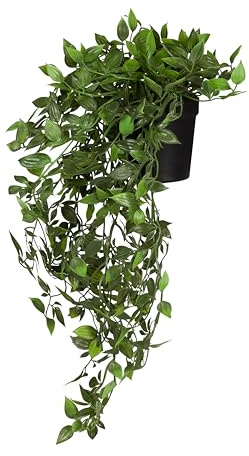 hjh OFFICE Hängepflanze Epipremnum Climb 20 cm – Grün, Immergrün, Pflegeleicht, Realistische Nachbildung aus Kunststoff