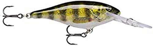 Rapala - Shad Rap Angelköder - Angelzubehör mit Balsa-Konstruktion - Süßwasser Spinnköder - Lauftiefe 2.4-4.5m - Fischköder 9cm, 15g - Hergestellt in Estland - Live Perch