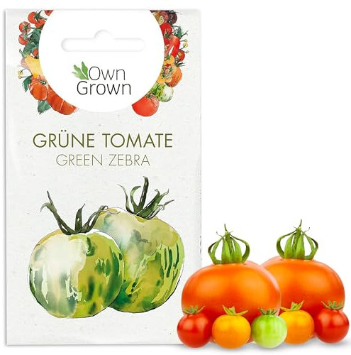 Tomaten Samen Green Zebra: Premium Saatgut Grüne Tomaten zum einfachen Anbau von Tomatenpflanzen für Balkon und Garten – 5 Grüne Tomatensamen alte Sorten – Köstliche Salattomate von OwnGrown