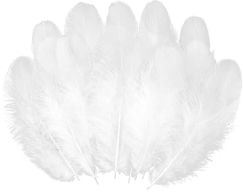 SNBUHA 300 Pcs Feathers for Crafts, Feathers Bulk, Natural Feather for Wedding Home Party, Dream Catcher Supplies and DIY Crafts, Party Decorations Supplies(8-11 cm/3.15-4.33 in, White)