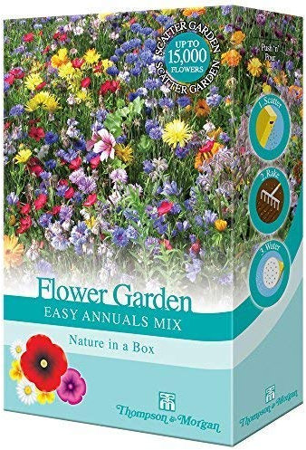 Mixed Cottage Garden Flower Seed Annuals Grow Your own Colourful Plants Such as Cornflowers, Mallow & Marigolds 200 g Pack by Thompson & Morgan