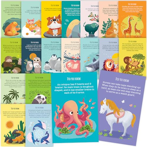 T MARIE 40 Animal Fun Fact Postcards - Bulk Thinking of You Postcard Pack for Kids, Students, Friends, Teacher, and More - Say Hello, Thank You or I Miss You with Colorful Note Cards