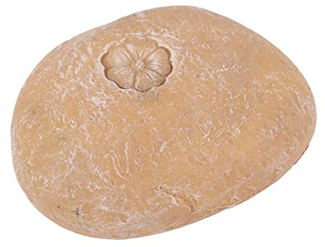 Xiuganpo Piedra Conmemorativa para Mascotas, Perros y Gatos, Resina Resistente a la Intemperie, Letras, Marcador de Tumbas de Piedra para Jardín para Conmemorar Mascotas, Consolar a Amigos y