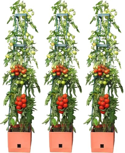 BioGreen Pflanzen-Aufzucht-Turm „Maxitom“ 3er-Set mit Rankhilfe und 2-Liter-Wasserspeicher | 16 Liter Fassungsvermögen | 150 cm Höhe | Farbe: Terracotta