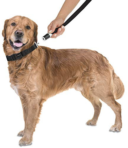 GoLeyGo Hundeleine mit Halsband GoLeyGo Schwarz Größe L 1St.