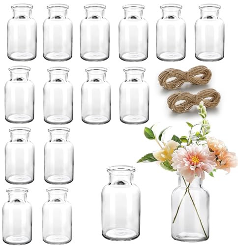 Renijion Mini Vase Set - 15pcs Small Glass Bud Vases for Flowers, Vintage Style for Decorative Table, Wedding Party, Home