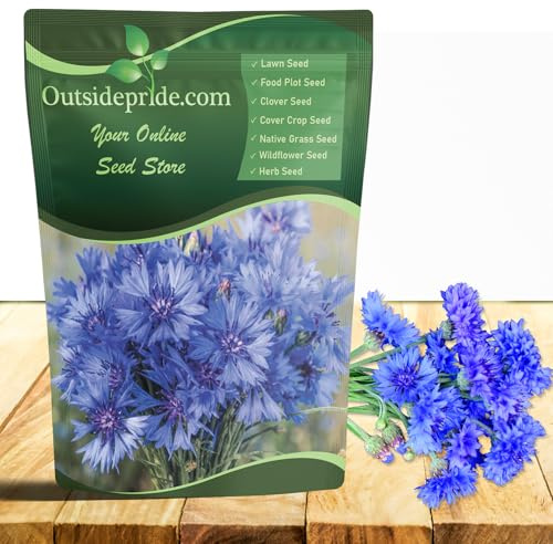 Outsidepride Blue Cornflower Seeds for Planting - 1/4 lb. Annual Bachelor's Button Flower Seeds for Cut Flower Gardens, Drought-Tolerant, Attracts Pollinators, Ideal for Borders & Bouquets