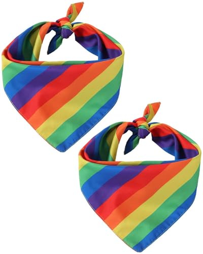IPNSDON 2 st Pride Rainbow Bandana Accessoar Dam Regnbåge Håraccessoar Håraccessoar Pannband Huvudband Näsduk Gay Dans Kläder Tillbehör för Vänner,