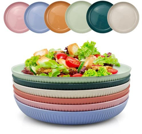 Zfseyuh 6 Stück Speiseteller Teller Camping Teller Kinder Teller Unzerbrechliches Geschirr Set Mikrowellen und Spülmaschinenfest für Salat, Kuchen, Esstelle