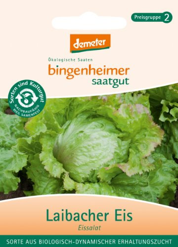 Bingenheimer Saatgut - Eisbergsalat Eissalat Laibacher Eis - Gemüse Saatgut / Samen