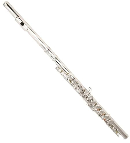 Tvärflöjt 16 Stängda Öppna Hål C-nyckel Professionell Tvärflöjt Konsert Musikinstrument Med Box Cloth Stick Handske