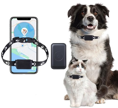 Collare GPS Gatto Tracker – Tracker GPS Localizzate facilmente il vostro gatto o cane con WiFi | senza abbonamento mensile | Compatibile con iOS e Android. (Nero)