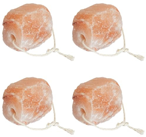 Générique Pierres à lécher 4 pcs avec Cordes pour Le bétail 10 kg Rose,Articles pour Animaux,Rose,0.01 KG,42000116