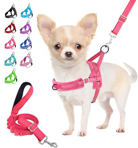 Eyein Small Dog Harness & Lead, Heavy Duty Soft Padded Reflective Adjustable Puppy Harness Anti-Twist Pet Lead Quick Fit for Small Dog Cat Animal (Pink, S)