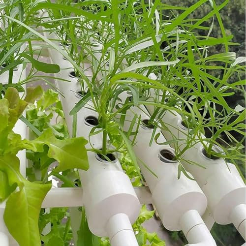 BTURYT Système Hydroponique pour Jardin Hydroponique, Pompe À Eau, avec Réservoir d'eau, Système De Culture Hydroponique 36 Sites, Kits Et Systèmes De Culture Hydroponique