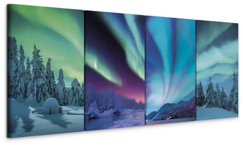 murando - Set di 4 Quadri Fonoassorbenti Decorativi Componibili Aurore Luce Polare Inverno 80x30 cm Ciascuno delle Dimensioni di 20x30cm - Quadro Moderno Protegge da Rumori - c-B-10260-b-a