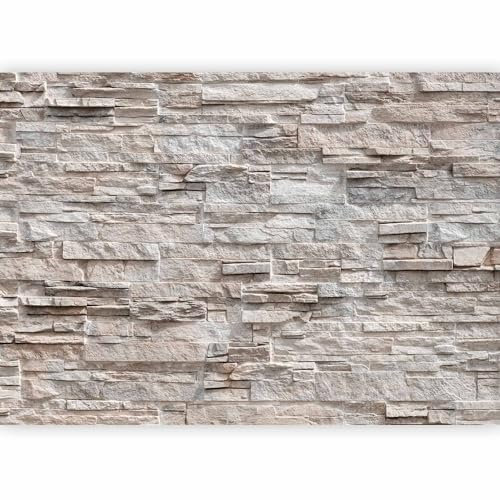 murando - Papier peint panoramique artistique 400x280 cm - Revêtement mural décoration chambre salon - Design moderne - Gris marron vert - Fond de texture de pierre de ville beige f-C-0164-a-b